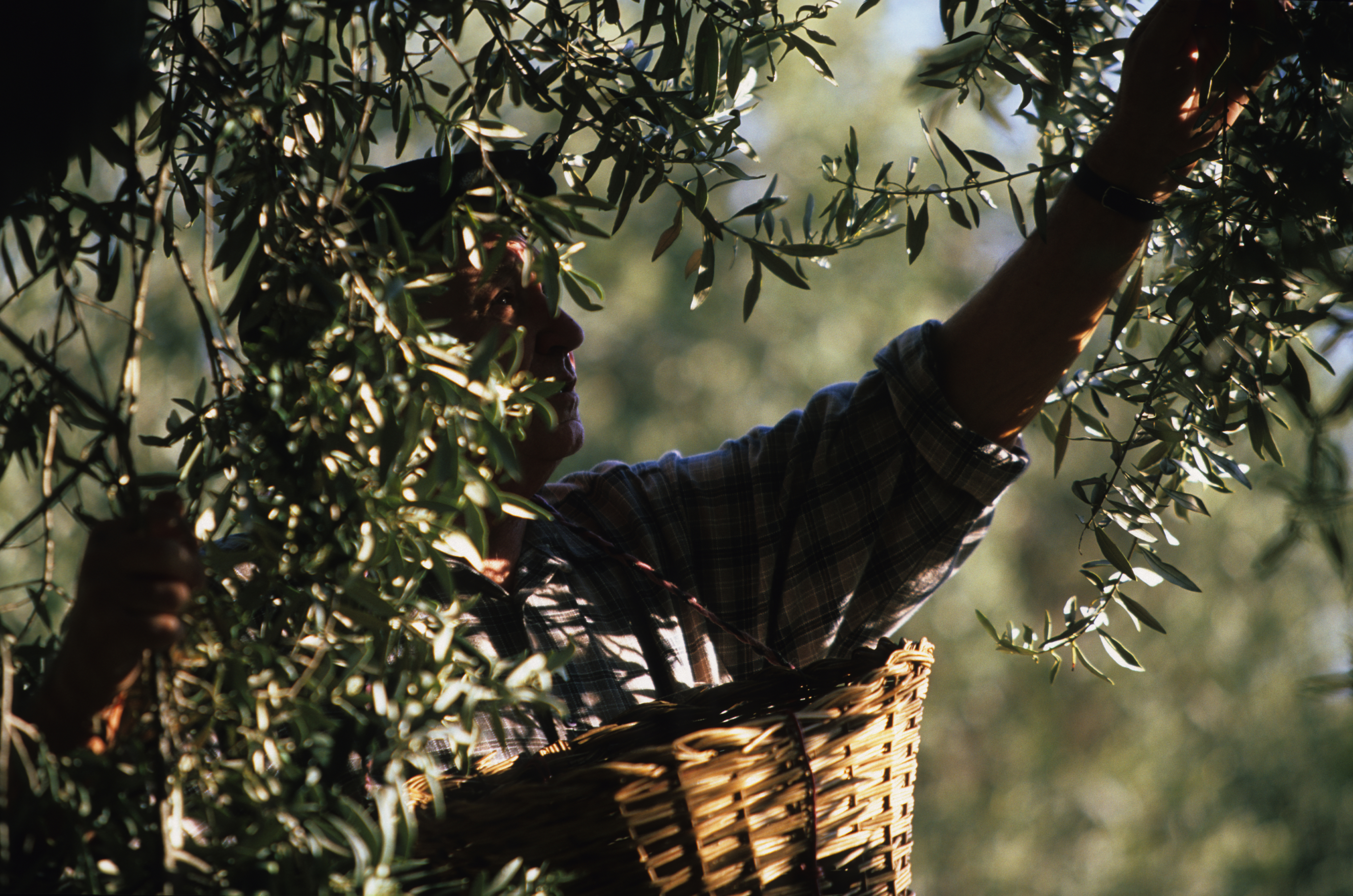 Agenda de L'Écomusée